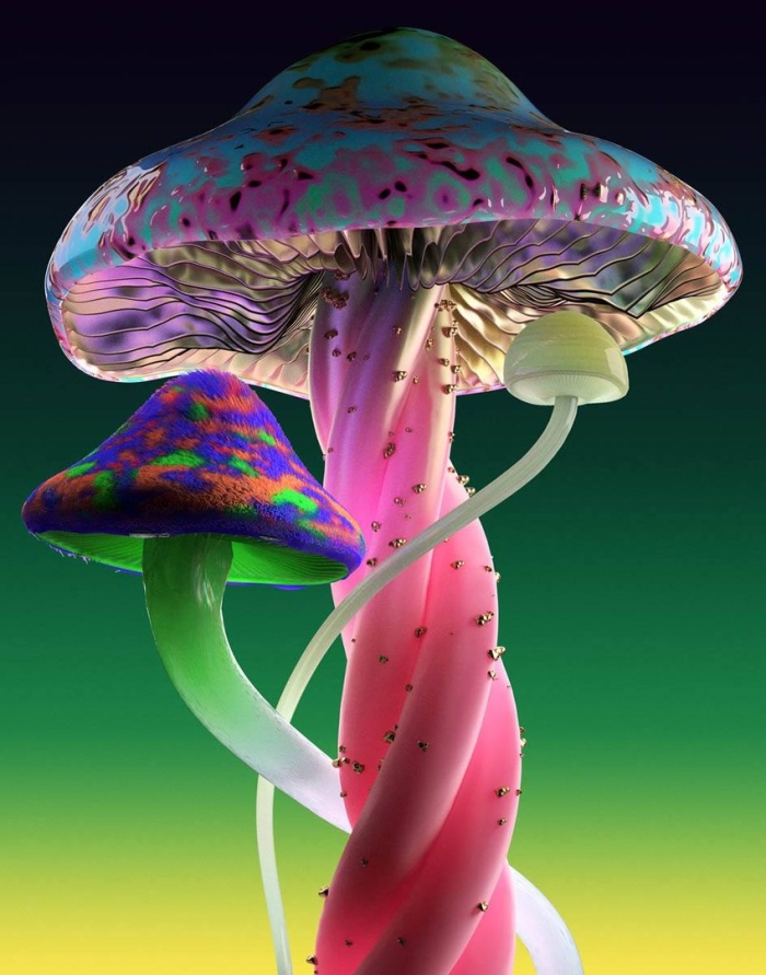 Грибы психоделические