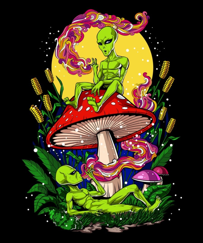 Психодел хиппи грибы