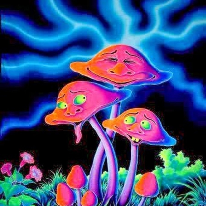 Галлюциногенные грибы неон