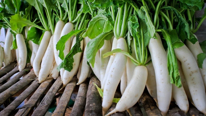 Дайкон миноваси