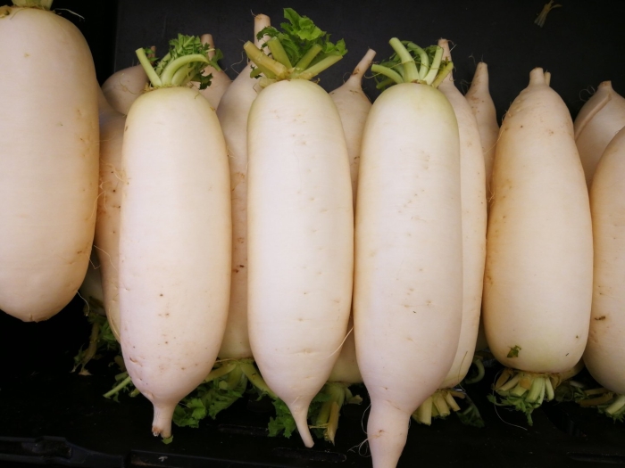 Дайкон и турнепс