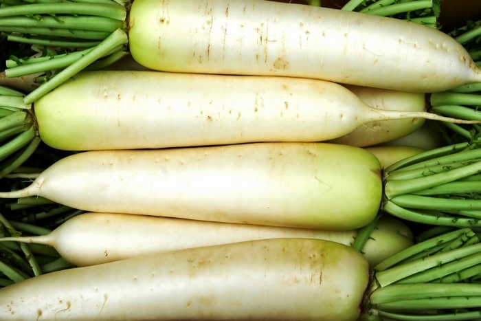 Белая редька дайкон