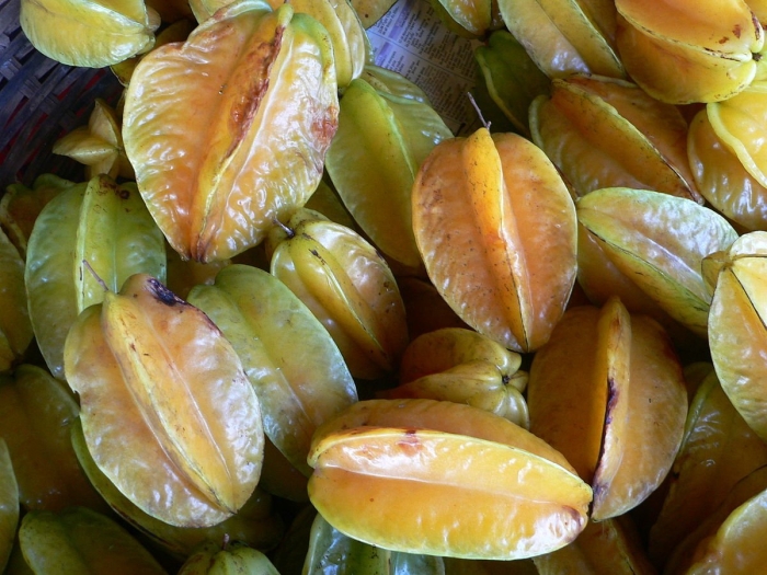 Аверройя карамбола