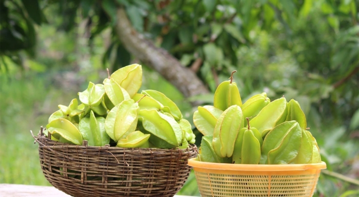 Фрукт карамбола