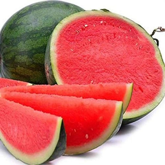 Арбуз сорт seedless watermelon