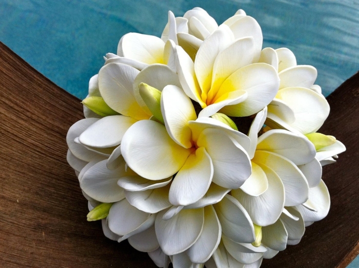 Плюмерия букет невесты