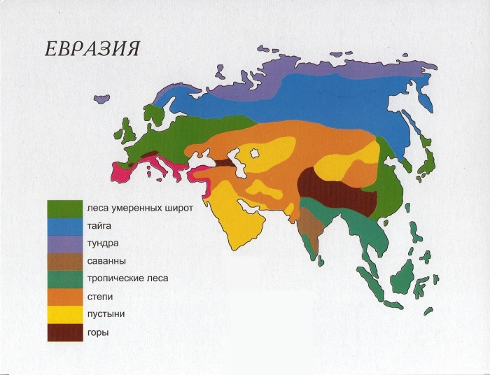 Карта природных зон евразии