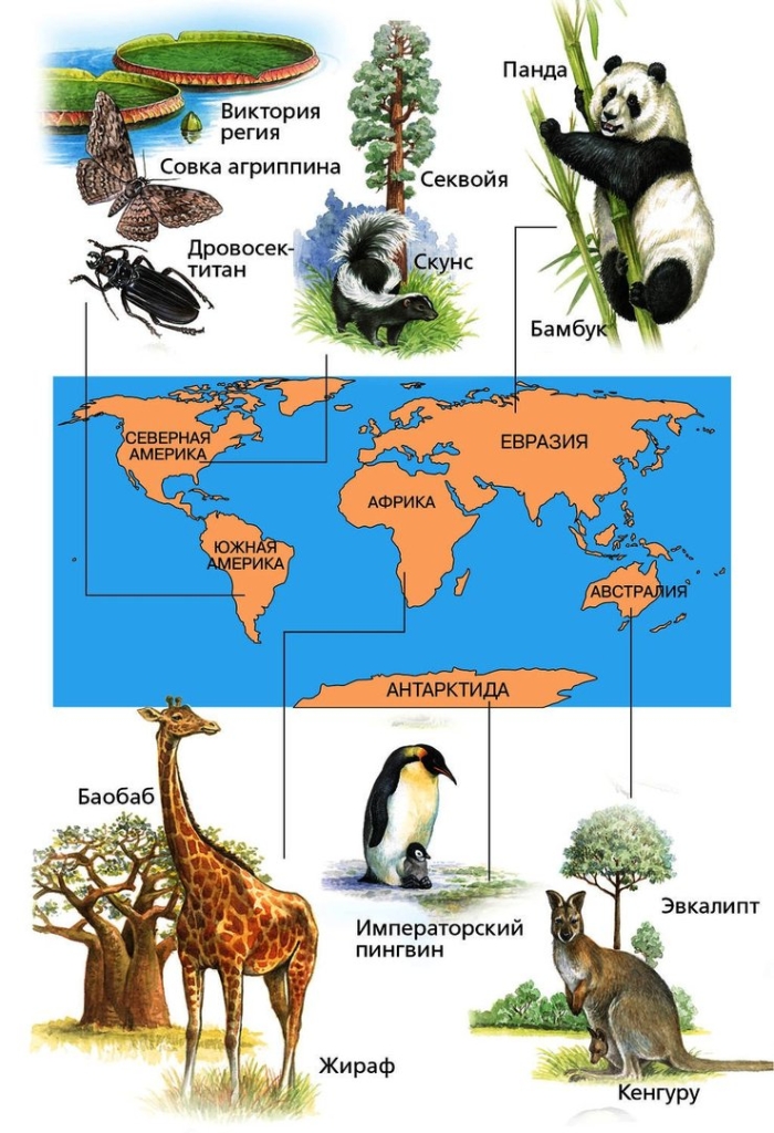Животные евразии 2 класс окружающий мир