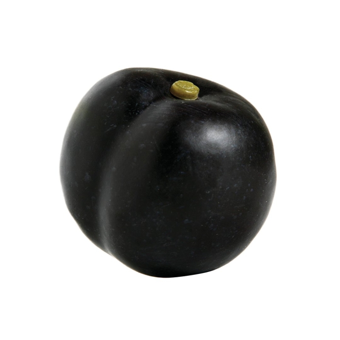 Муляж слива