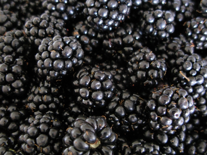 Блэкберри фрукт