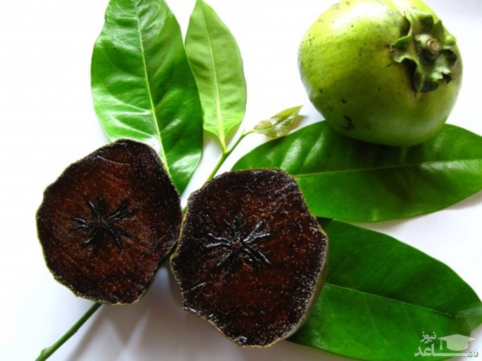 Фрукт черная сапота
