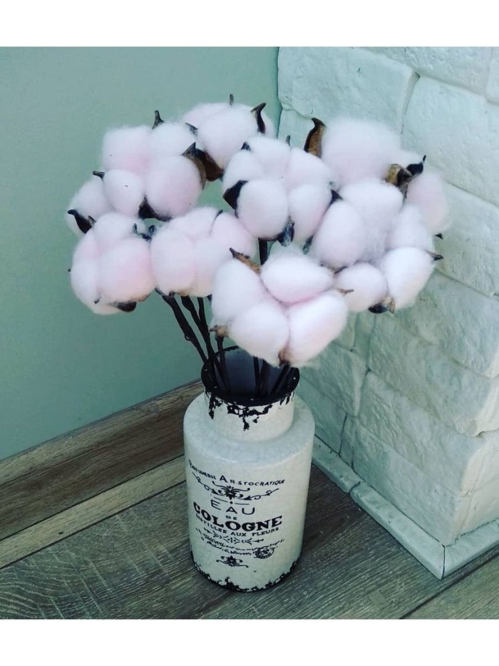 Сухоцвет хлопок декоративный