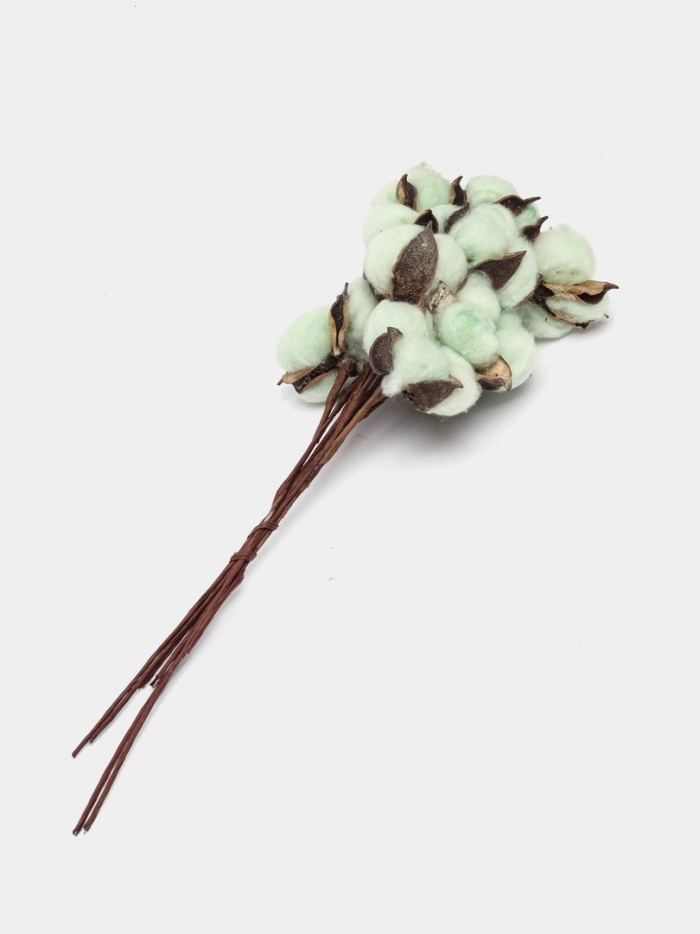 Сухоцвет хлопок натуральный