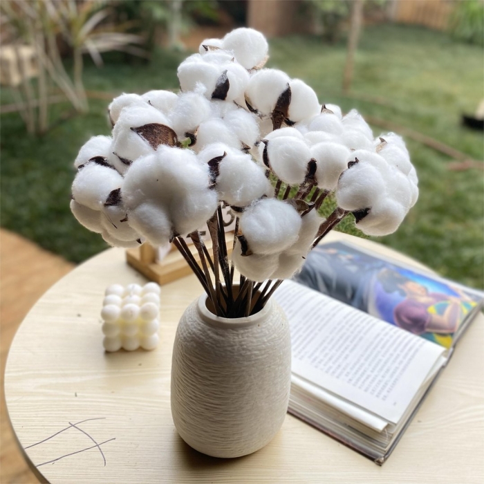 Хлопок натуральный сухоцвет