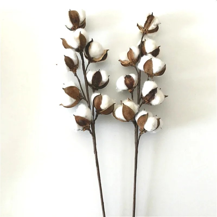 Веточки хлопка для декора