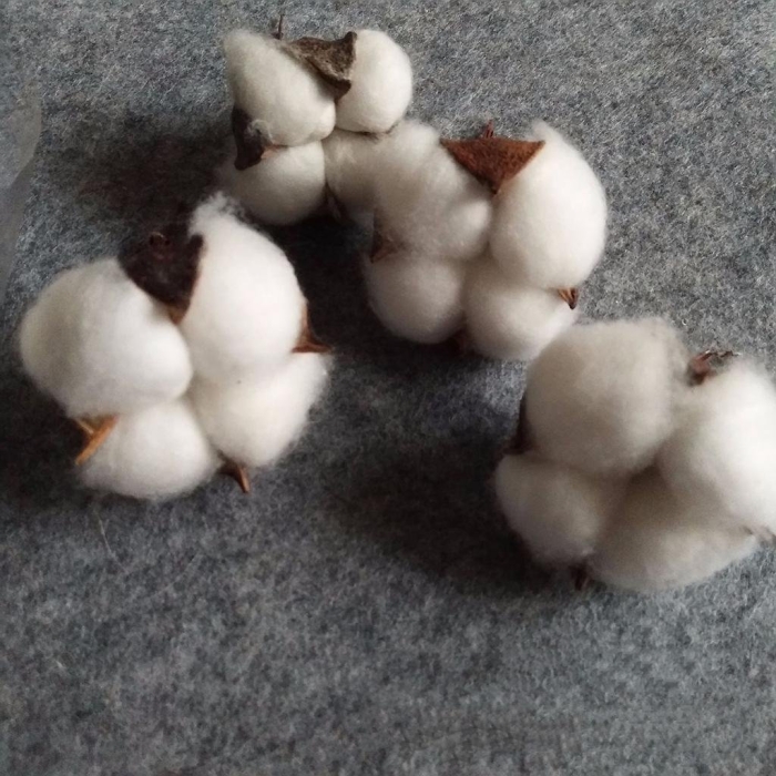 Хлопковые цветы