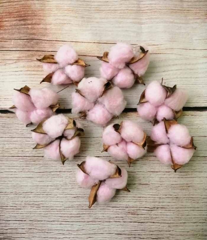 Хлопок сухоцвет розовый