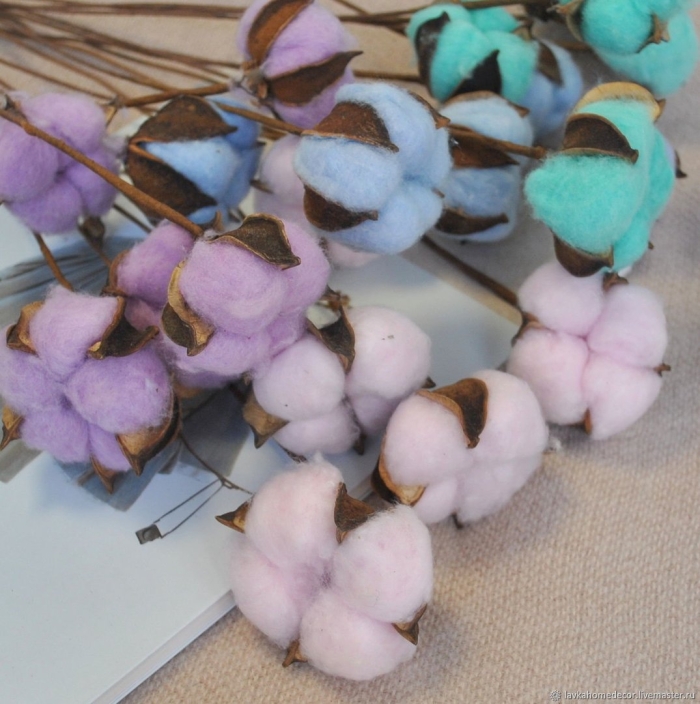 Сухоцветы хлопок