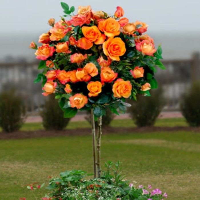 Искусственные деревья