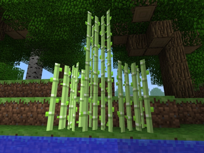 Minecraft сахарный тростник