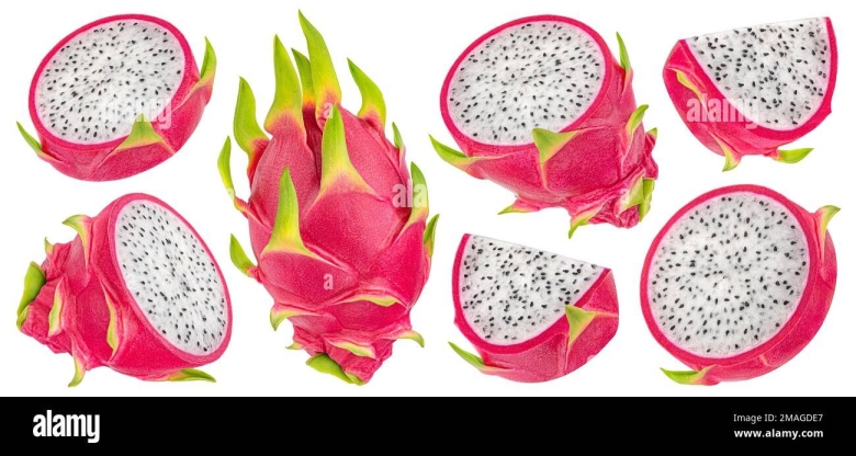 Питахайя силуэт