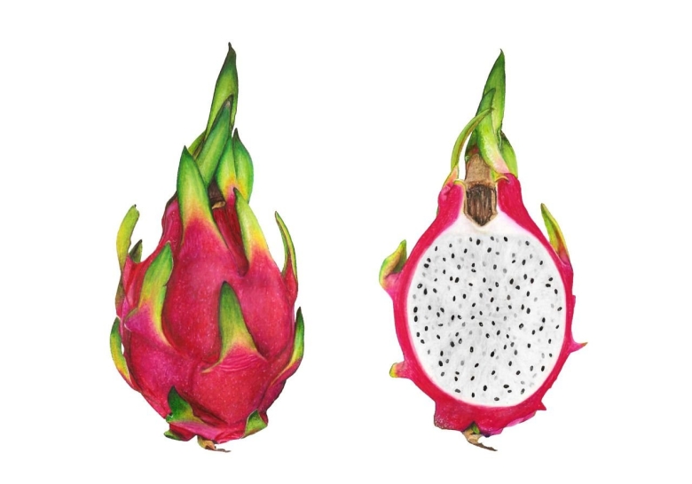 Питайя Драконий красный