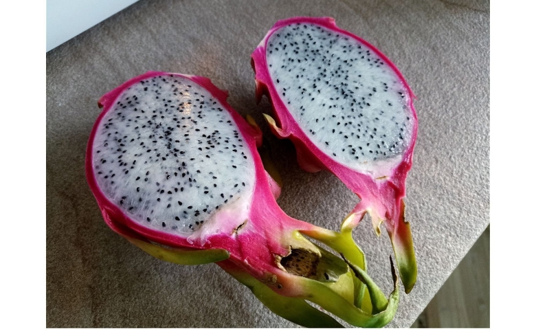 Цветение питахайи