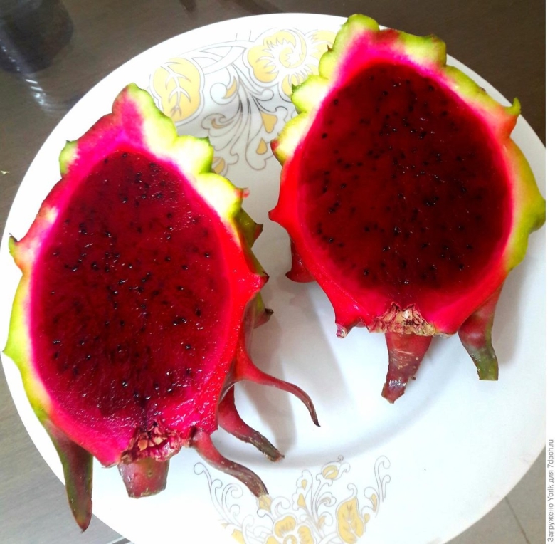 Драконий фрукт красный