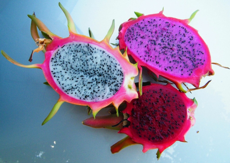Что такое драгон фрукт питахайя
