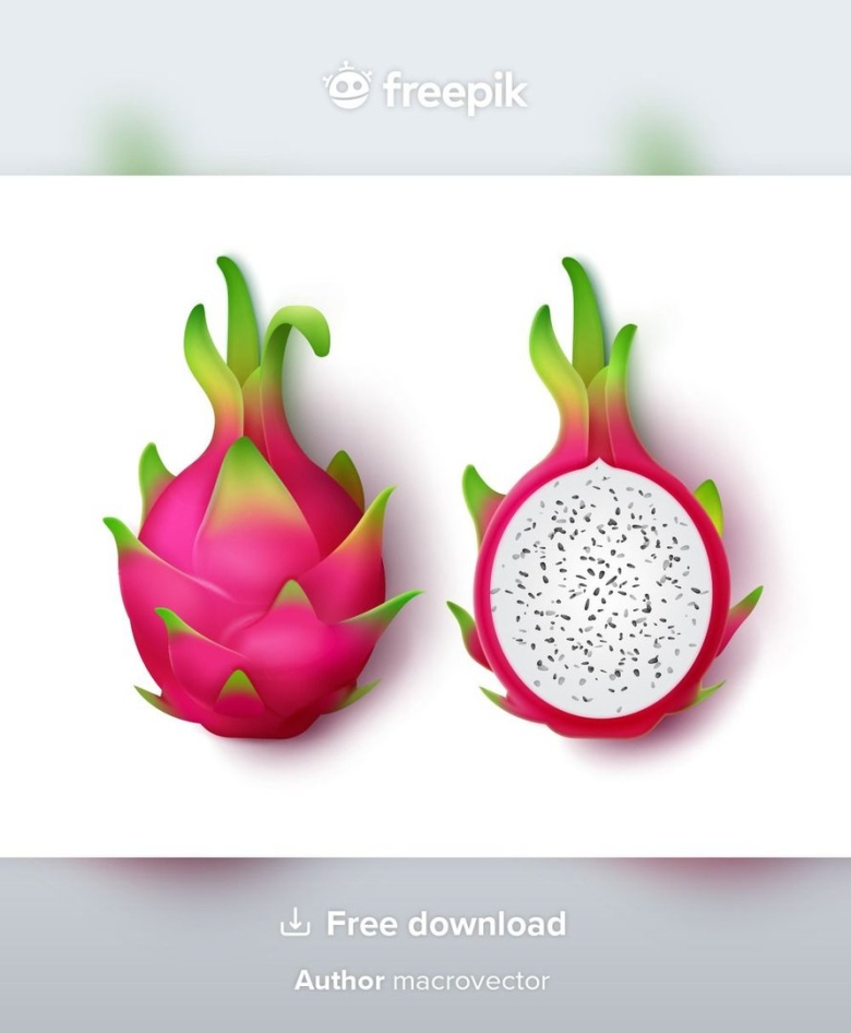Питайя драконий фрукт вектор