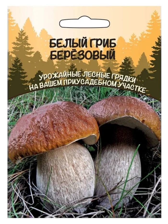 Грибы белый гриб березовый (сспк) е/п б/ф