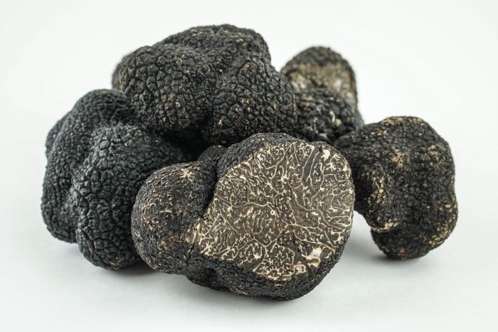 Tuber melanosporum трюфель
