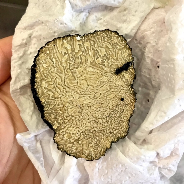 Трюфель летний – tuber aestivum