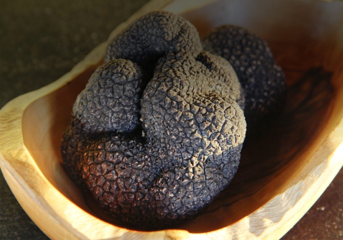 Белый трюфель гриб