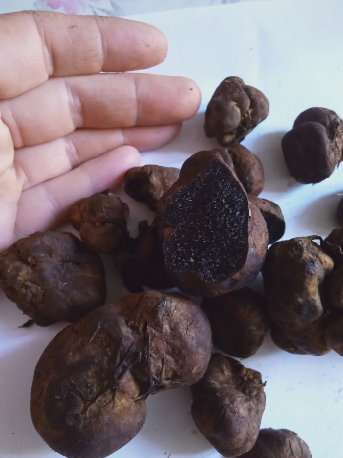 Трюфели натуральные