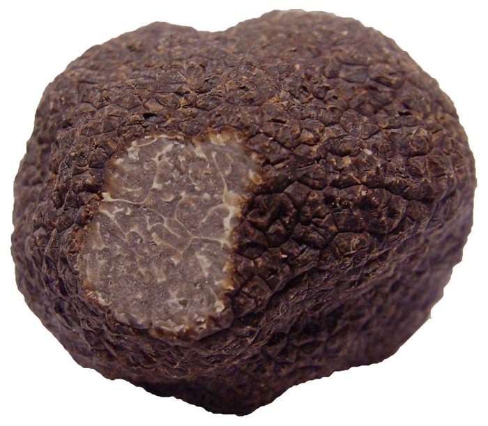 Трюфель черный