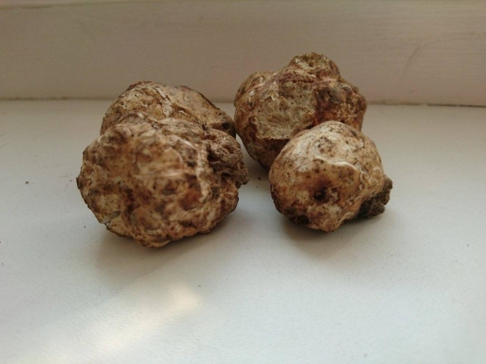 Белый трюфель и черный