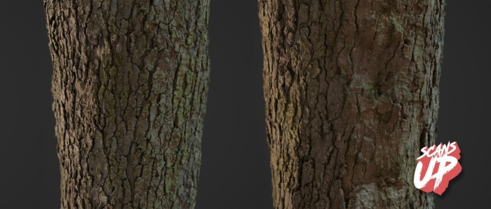 Дерево кора