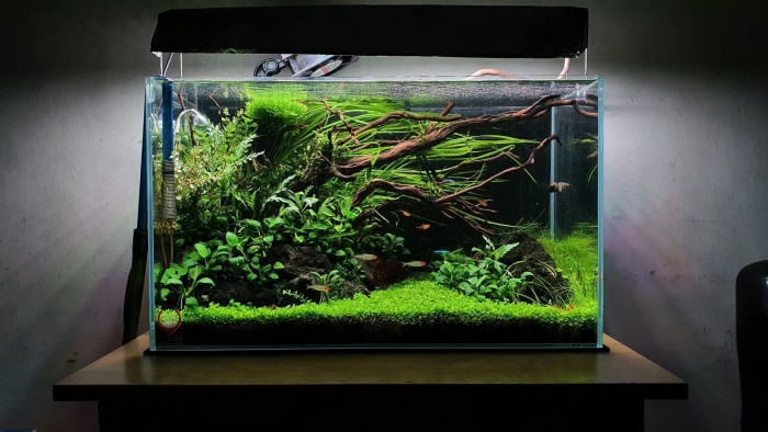 Травник аквариум акваскейп