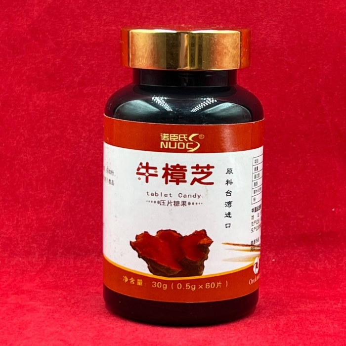 Гриб антродия камфорная