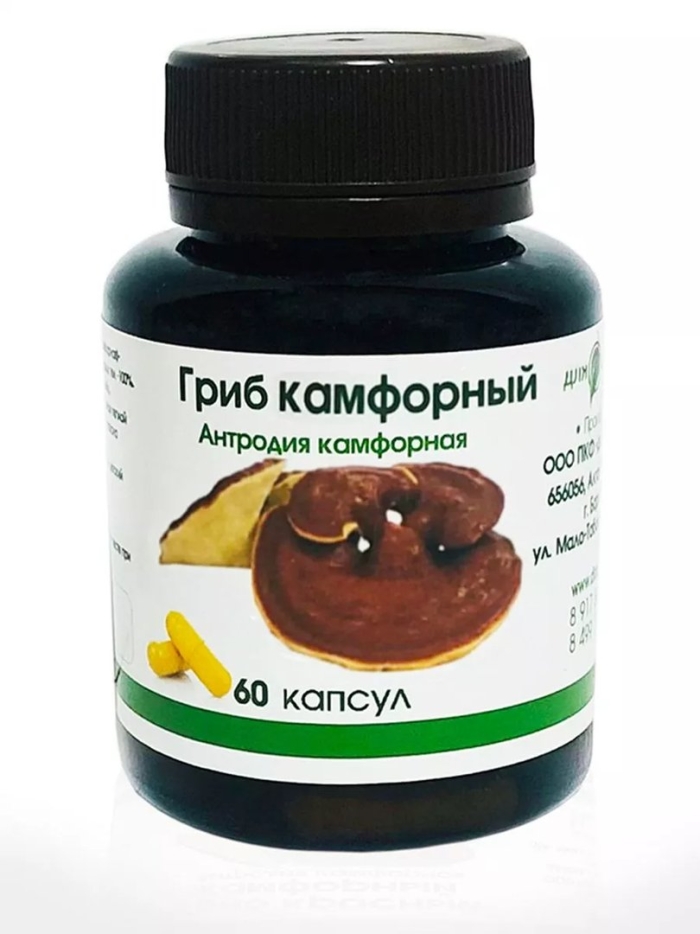 Чага в капсулах шт