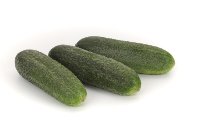 Огурец маэстоза f1