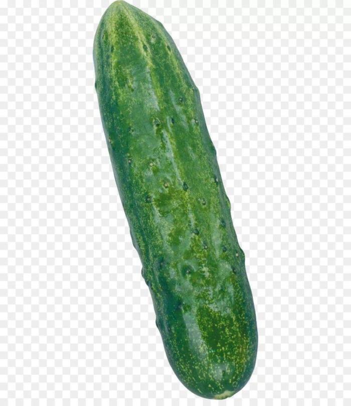 Огурец без фона