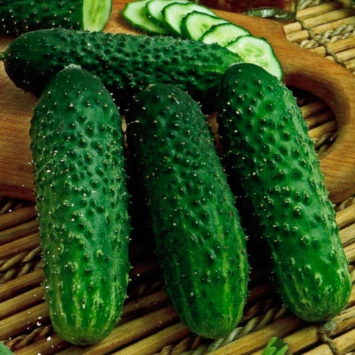 Огурец сорта