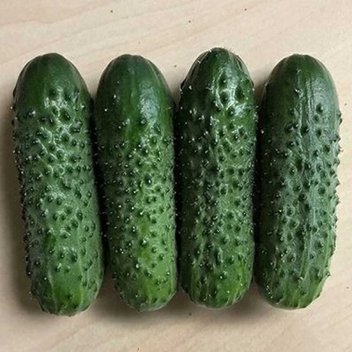 Огурцы брандино f1