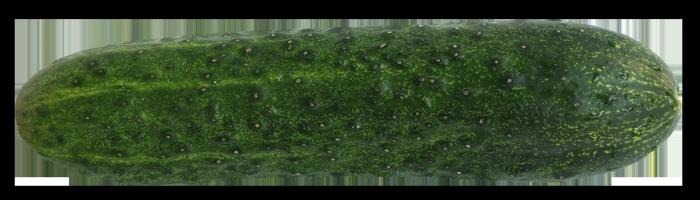 Огурец разрез