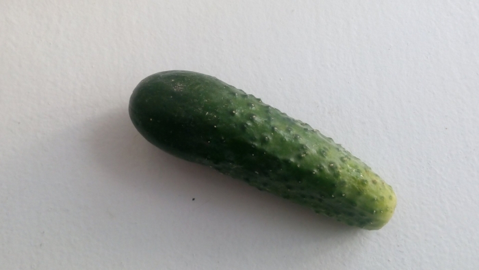 Огурец маленький