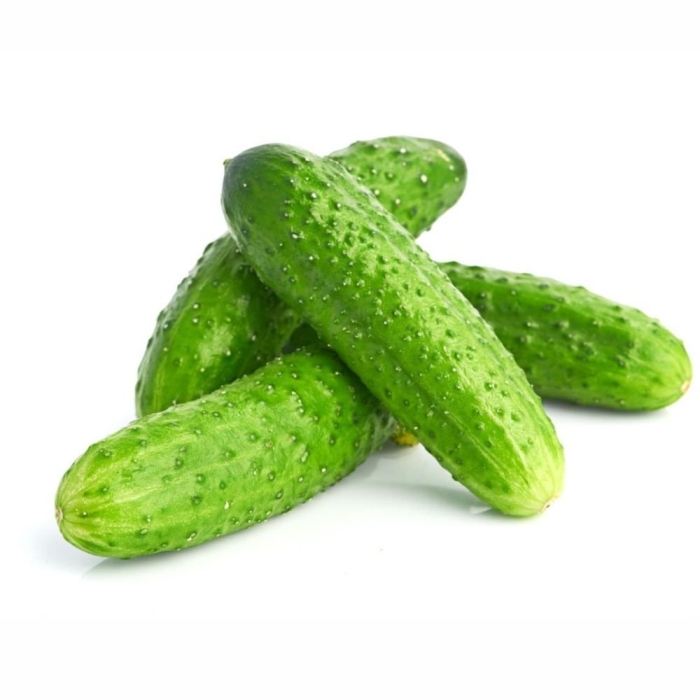 Огурцы короткоплодные