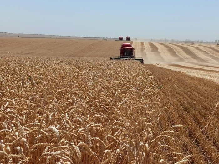 Сельское хозяйство ставропольского края