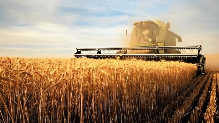 Сельского хозяйства